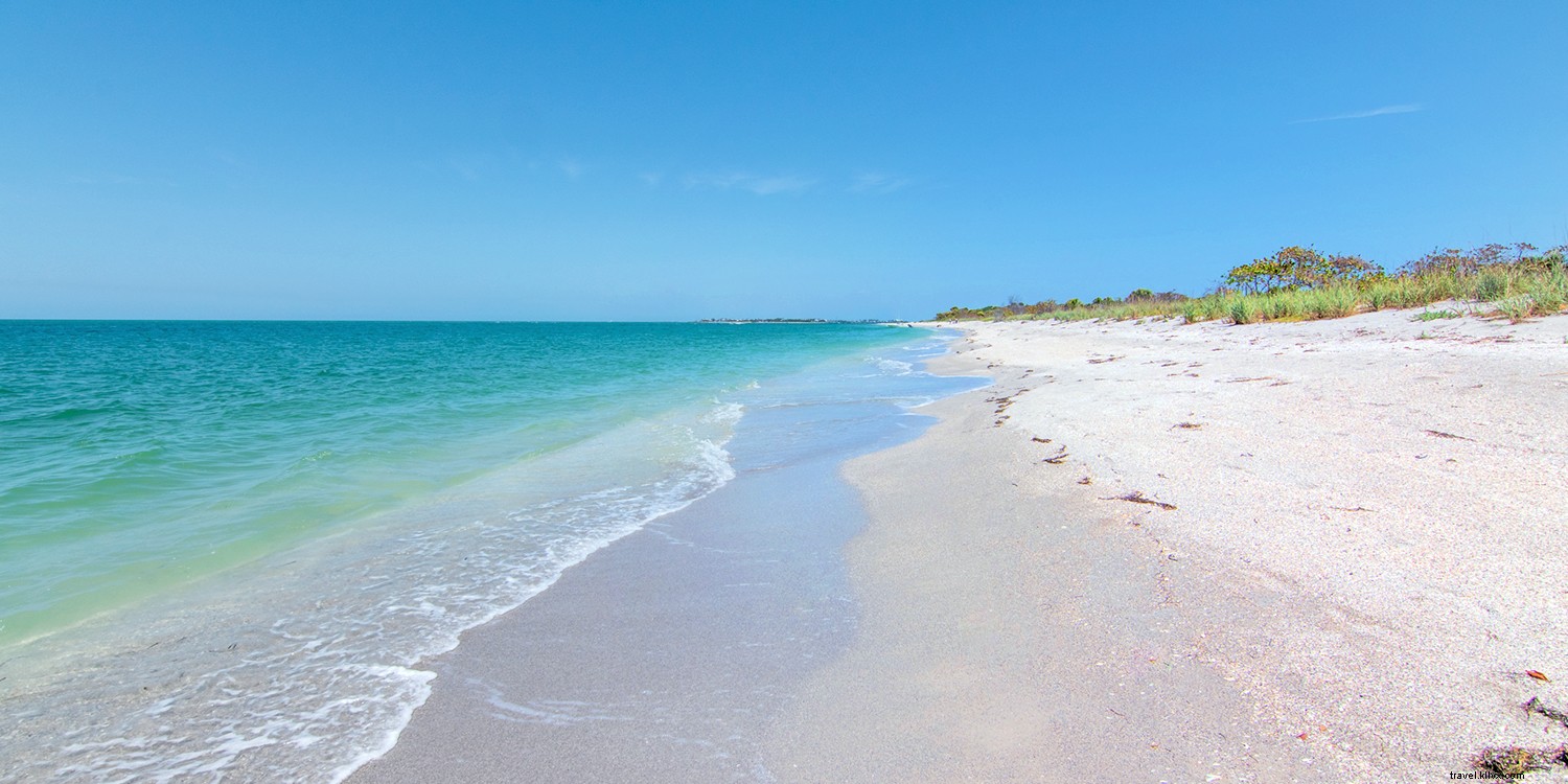 Découvrir une autre facette de la Floride 